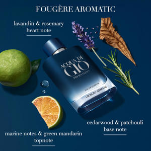 Giorgio Armani Acqua Di Gio Profondo Eau de Parfum 100ml Gift Set